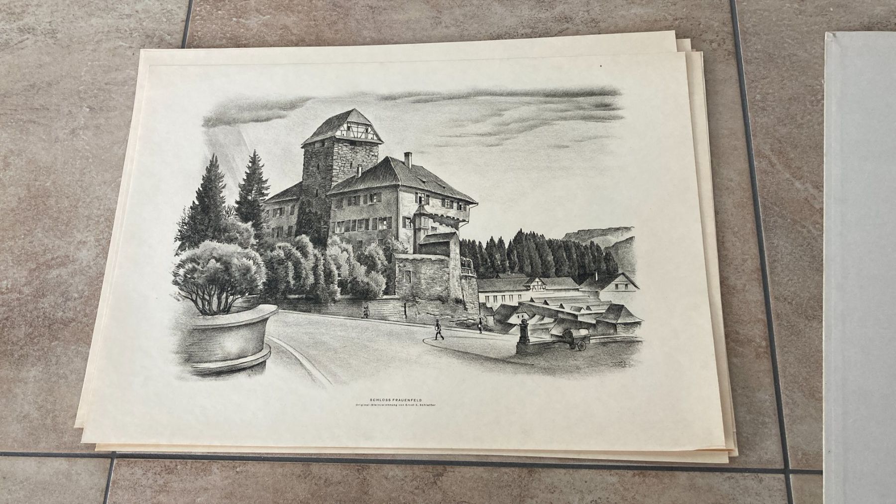 Grafica & Litografie: 12 Originallithographien Kt.Thurgau von Emil E. Schlatter – Usato da Rümlang venduto da Funkey3