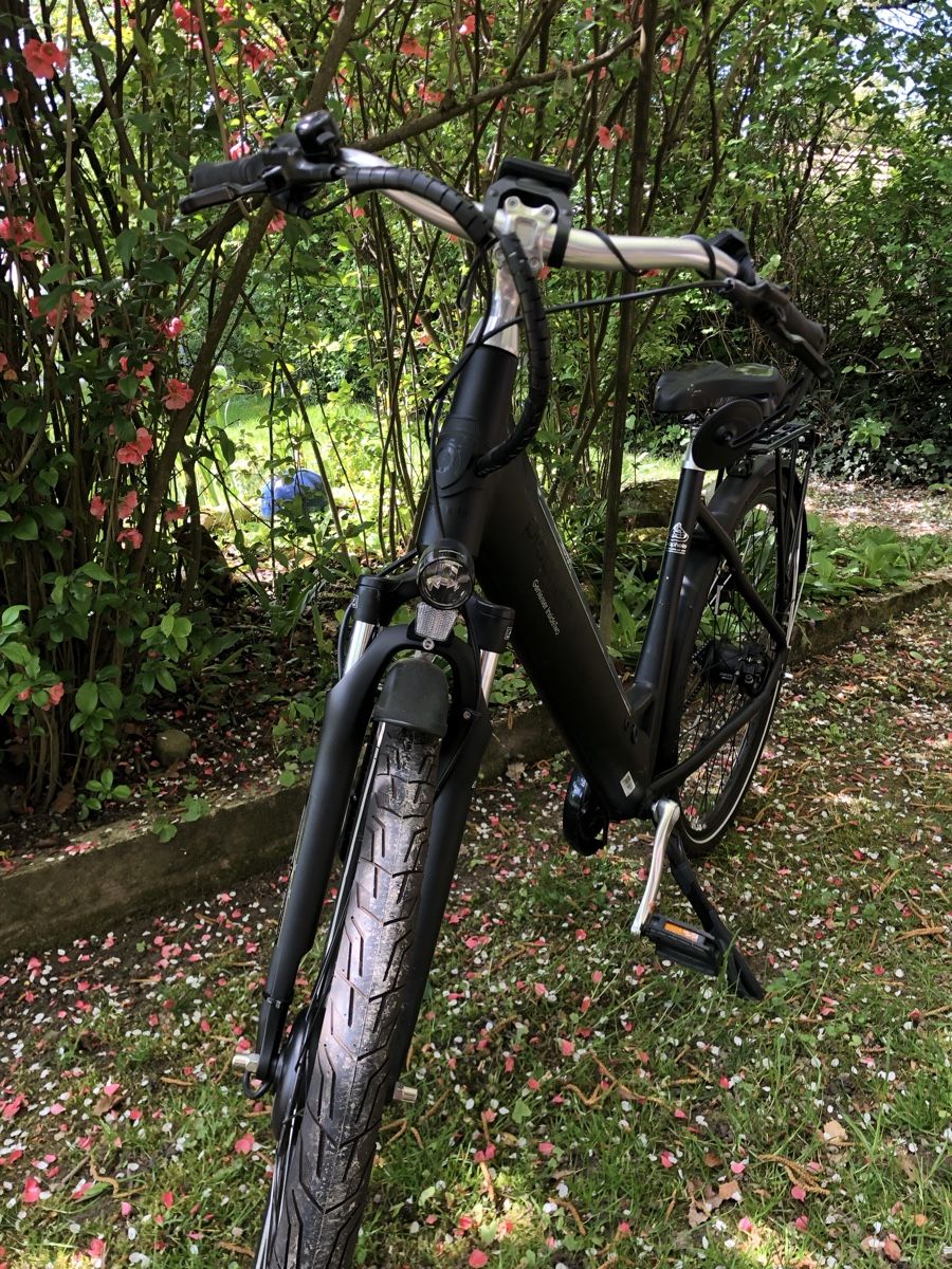 Biciclette: E Bike Geniesser InsideTwo – Nuovo (secondo la descrizione) da Zollikofen venduto da pet_mgz2 9