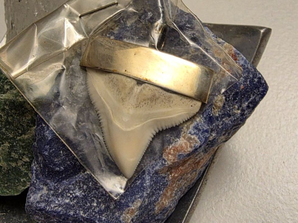 Ciondoli: Echter Haifischzahn in Silber gefasst – Nuovo e nell'imballaggio originale da Fislisbach venduto da Eye-Arts 3