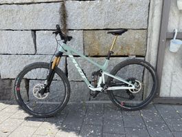 Pivot Trailcat LT Pro XO Gr. L ( Modelljahr 2026)