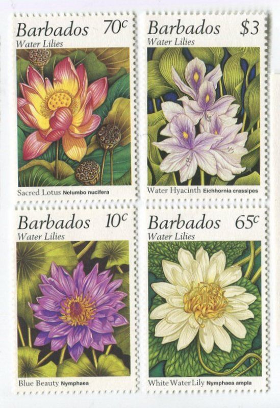 Alle Briefmarken: Briefmarken "Seerosen". Barbados – Neu und originalverpackt aus Basel von Butsch5