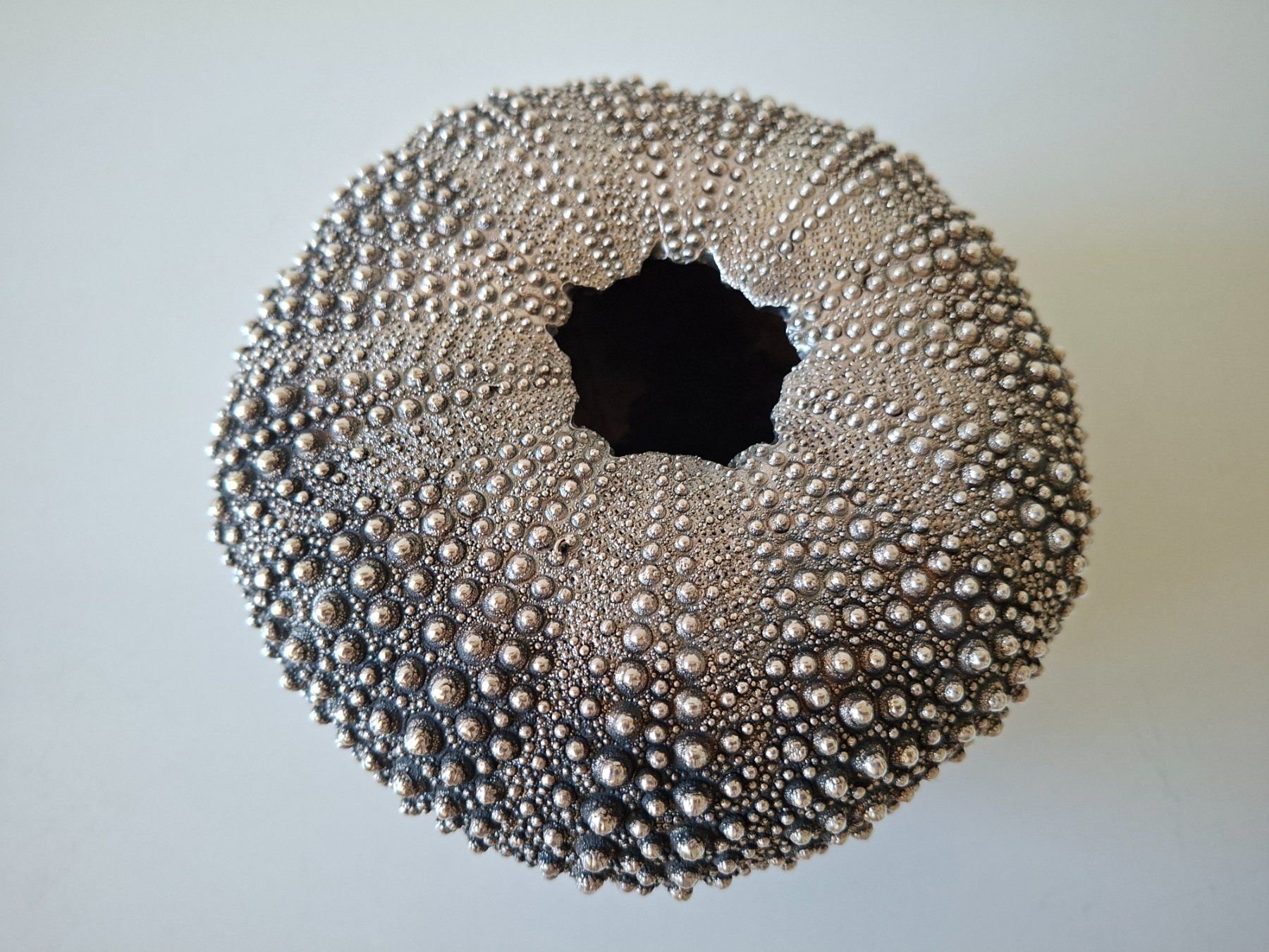 Alle Dekorationen: echtes Seeigel-Skelett  mit Silberüberzug – Gebraucht aus Zürich von Daniel517 4