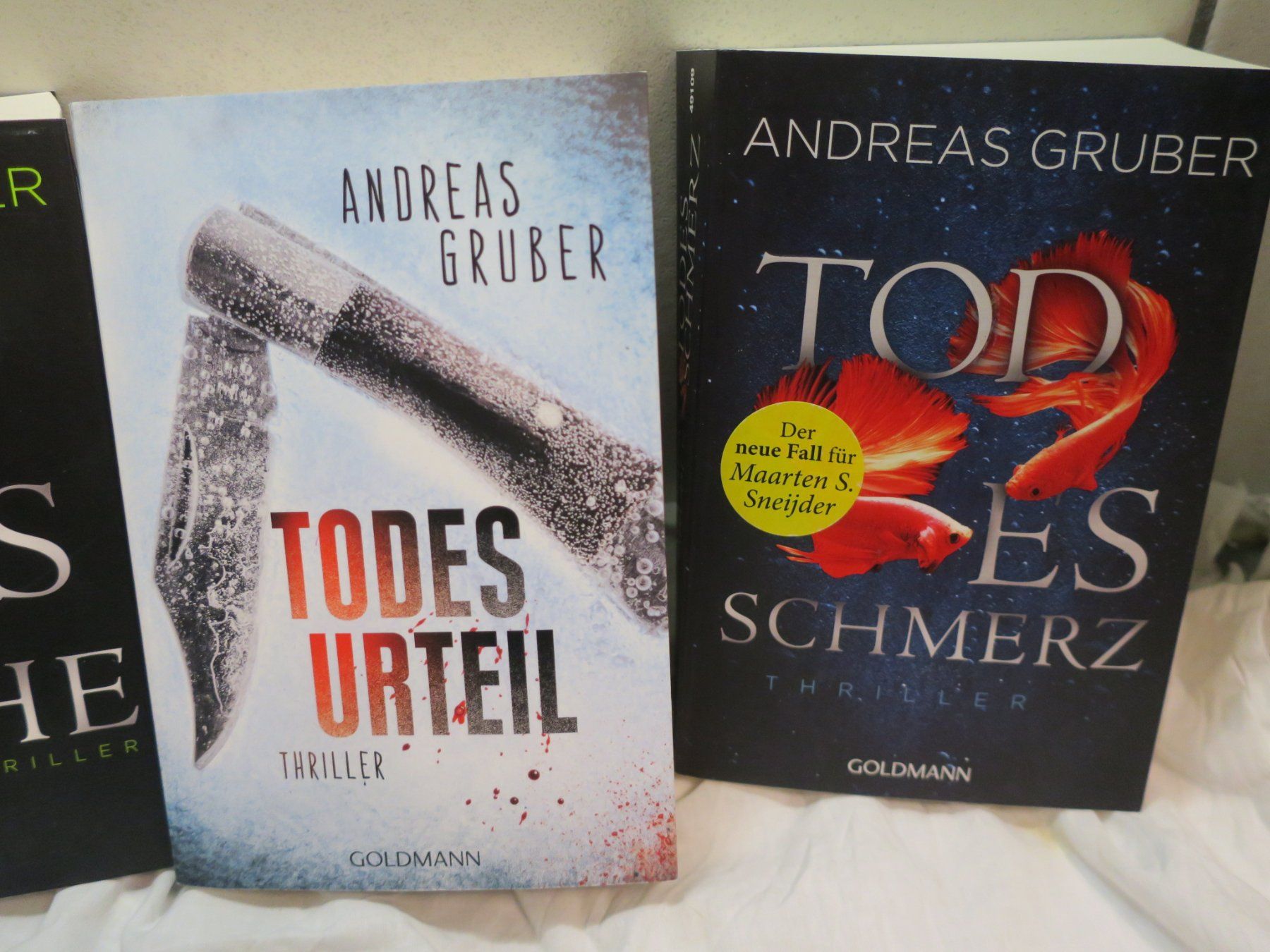Bücher: Thriller  Taschenbuch – Neu (gemäss Beschreibung) aus Oberdorf NW von hewi52 2