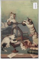 Katzen-Familie mit Buchpresse - Litho