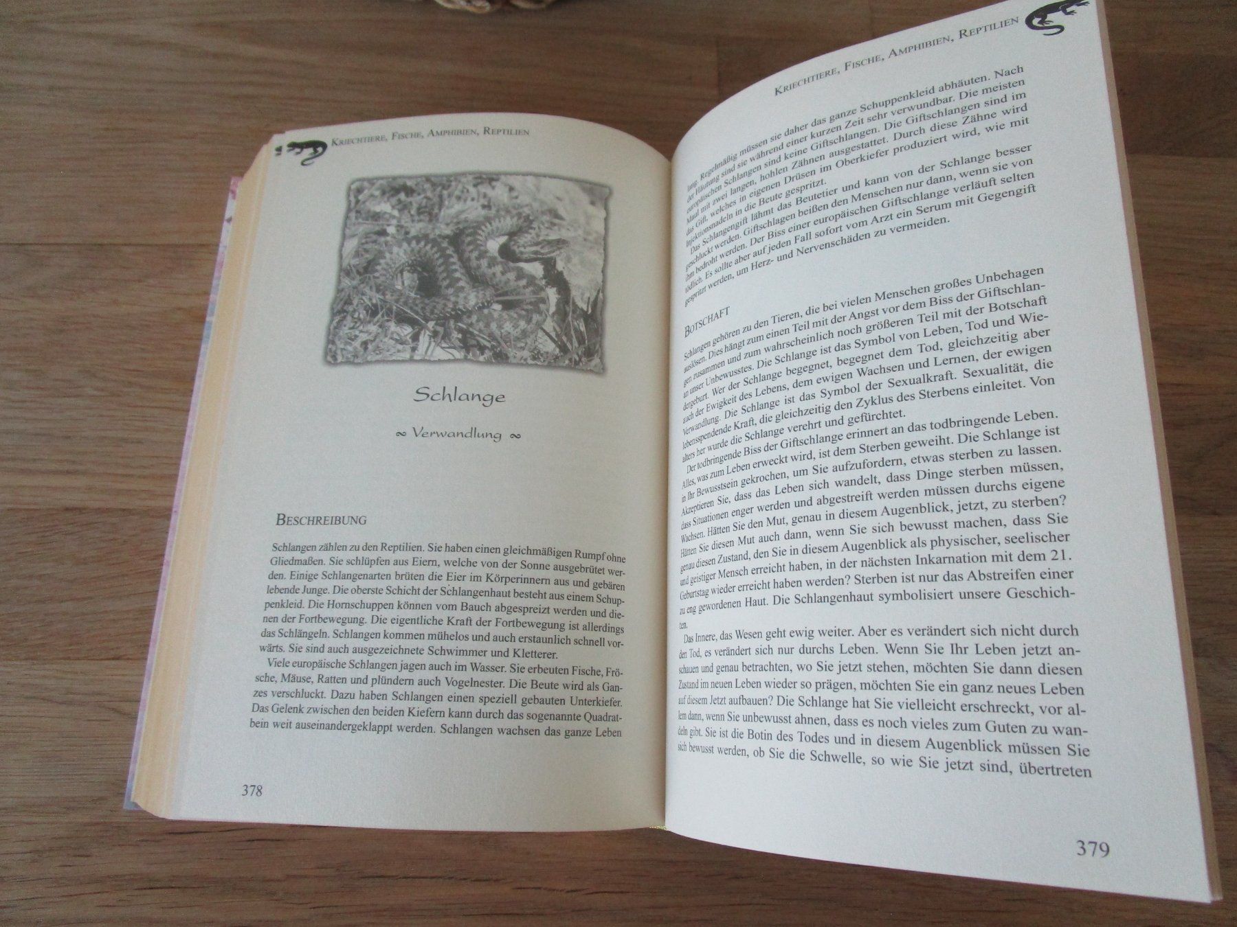 Libri: TIERISCH GUT...von Regula Meyer-BESTSELLER – Usato da Scuol venduto da Luana.. 2