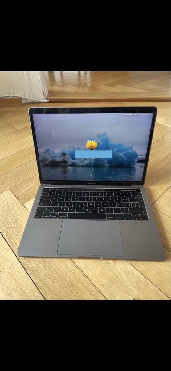 Apple Notebook: MacBook Pro 13" 2016, Intel Core i5, 8GB RAM, 250 GB – Usato da Zürich venduto da sar_c828