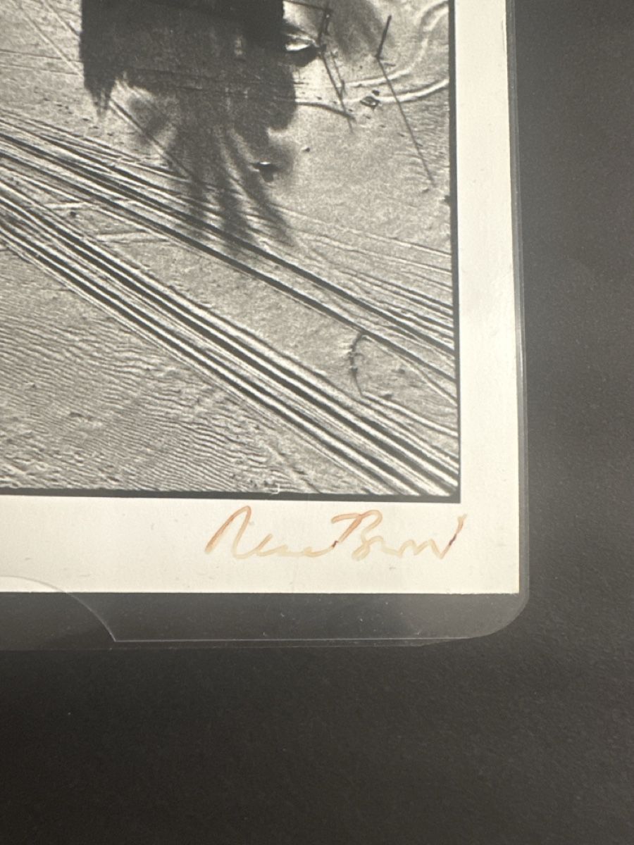 Foto & Immagini: René Burri Foto – Usato da Saanen venduto da Mikeman2 1
