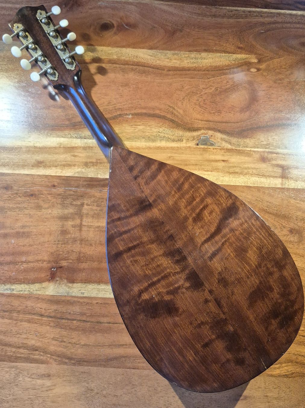 Strumenti musicali: Mandoline Levin 54 Taranto 1963 – Usato da Winterthur venduto da NorrSydGuitars 2