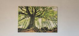 Wandbild