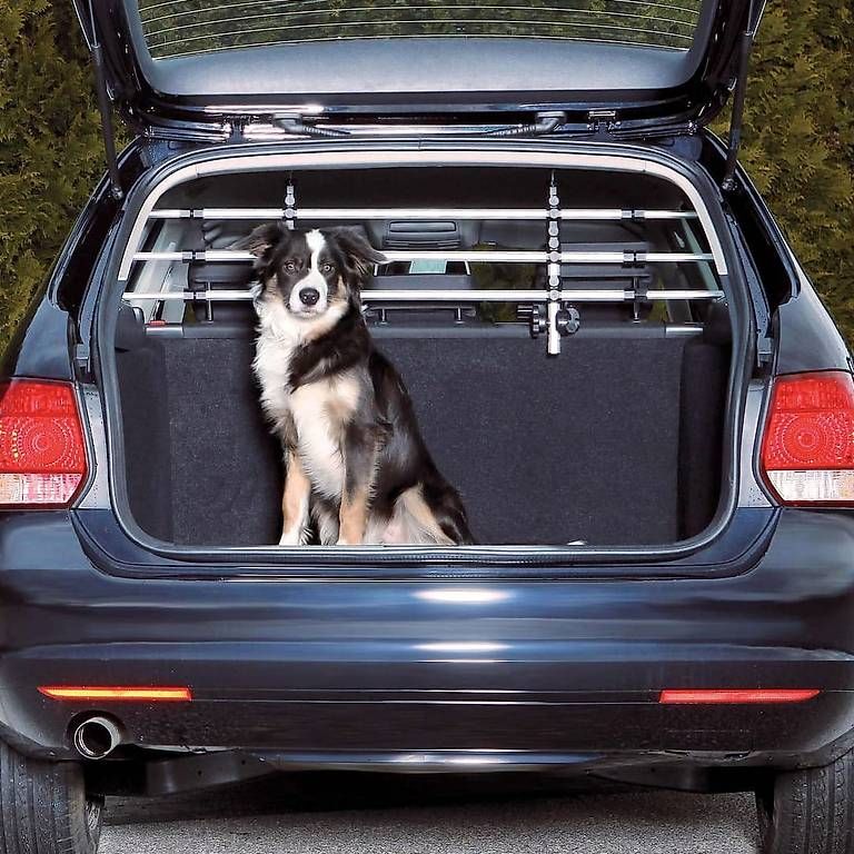 Gabbie, trasporto & Sicurezza: Gebraucht: Trixie Auto-Gitter – Usato da Langendorf venduto da Florian1111 3
