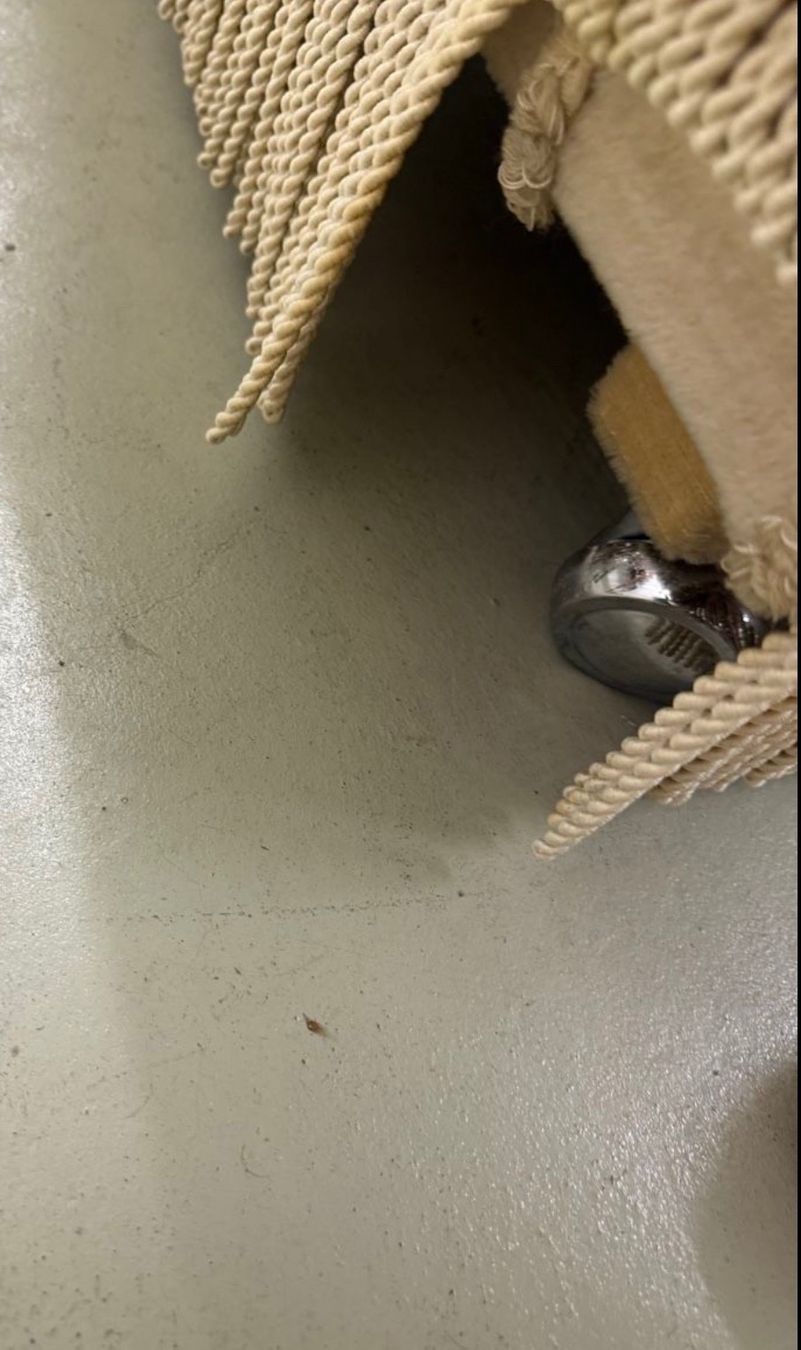 Poltrone: Sessel beige mit Fransen guter Zustand mit Rollen – Usato da Schlieren venduto da EH_Auktion 2