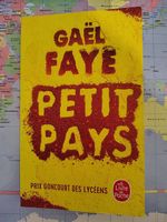 Gaël Faye, Petit Pays