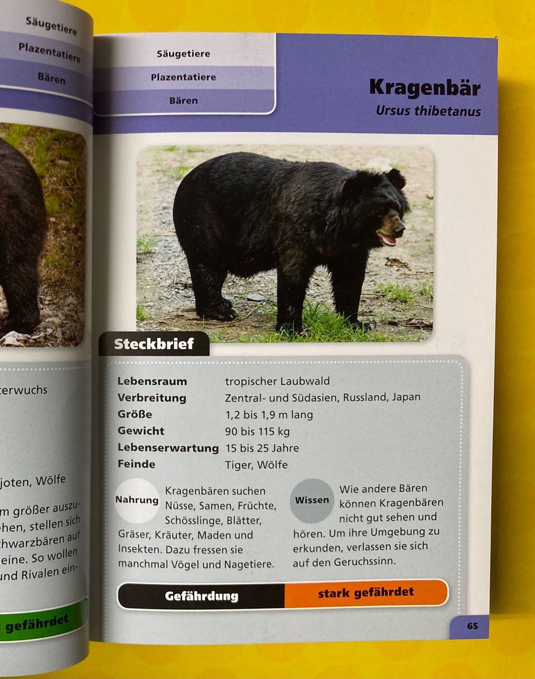 Libri: Taschenlexikon der Tiere – Usato da Basel venduto da AufeinenBlick 4