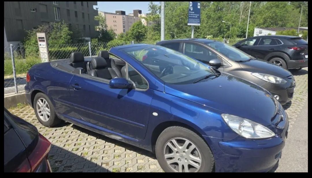Peugeot Automobili: Peugeot 307 cc – Usato da Cheseaux-Lausanne venduto da mel_28vd 2