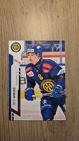 Sportzoo 2024/25 Serie 2 HC Davos Rico Gredig