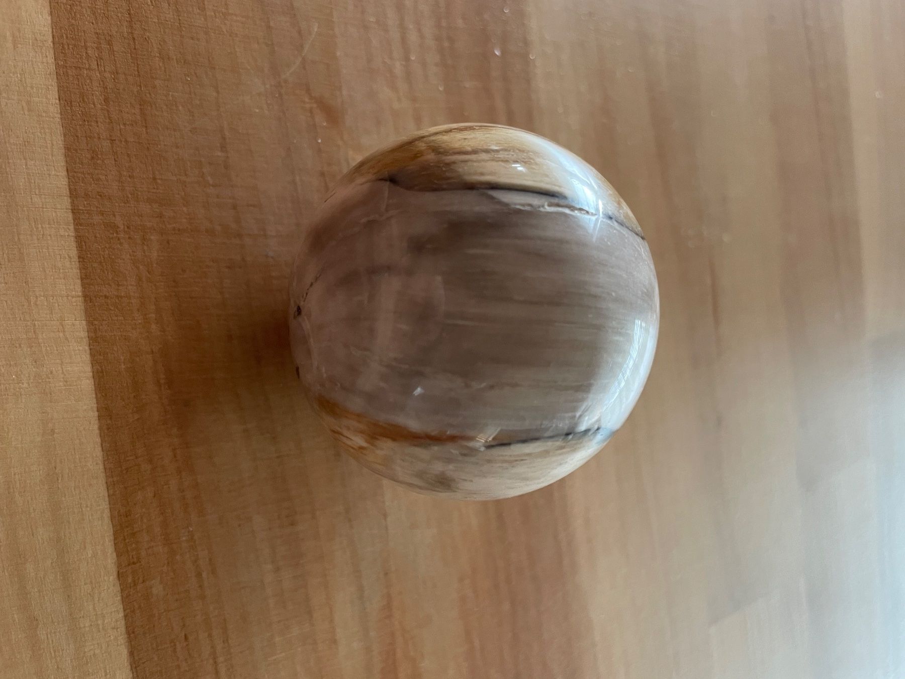 Fossiles: Versteinertes Holz Kugel – D'occasion à Rümlang par Sambas19 2