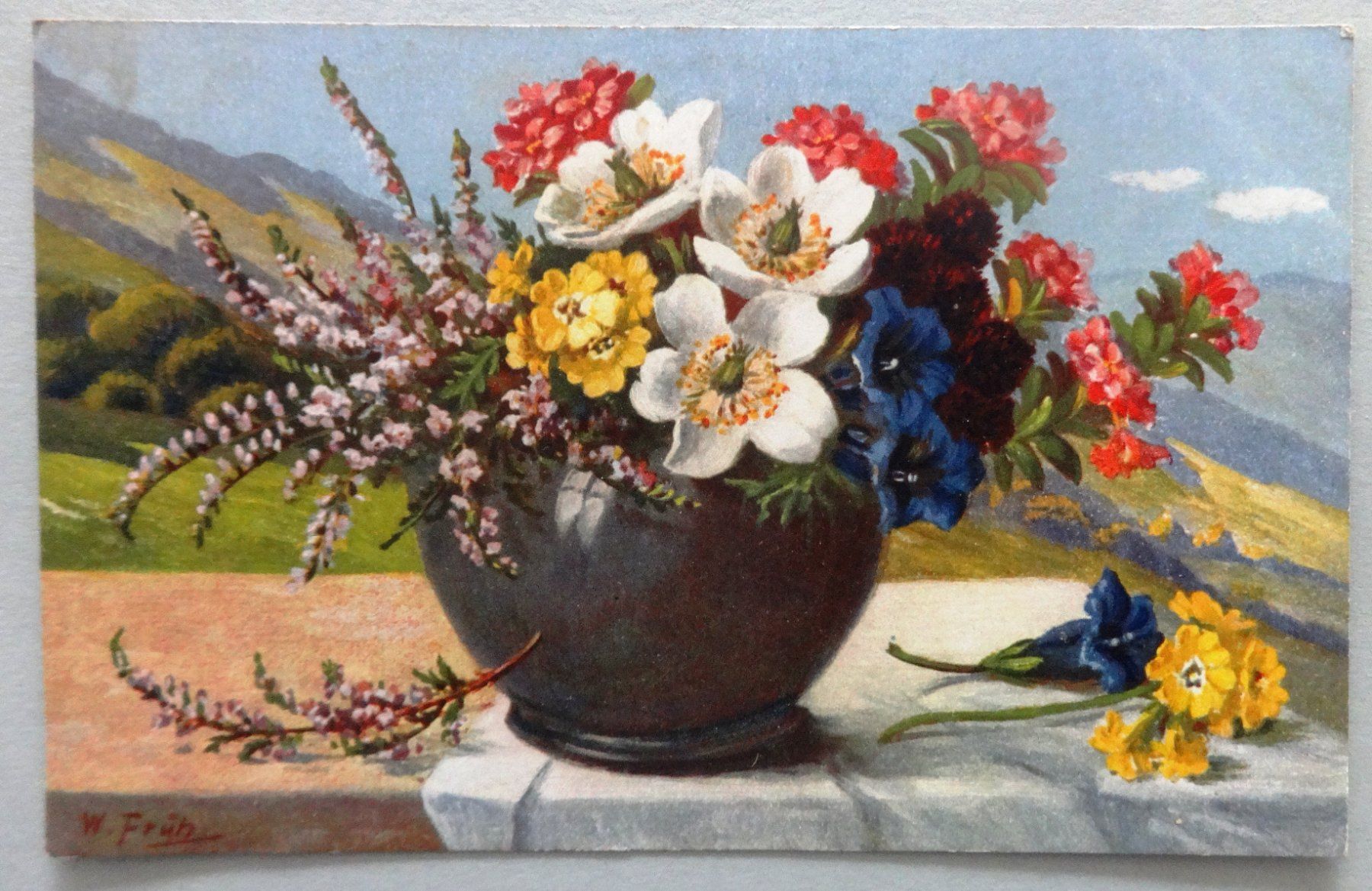 Ansichtskarten: Fleurs de montagne – Defekt aus Fétigny von Billy2miny