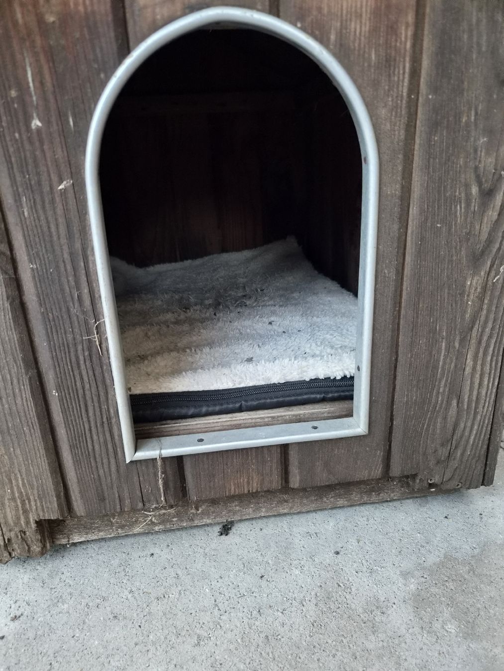 Liege- & Schlafplätze: Hundehütte  – Gebraucht aus weesen von haemmerliroman15 1