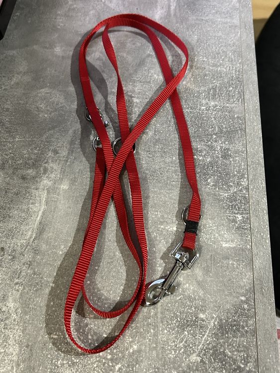 Tailpetz Hundeleine Größe M, Rot – 2 Cm Breit, 140 Cm Lang, Für Step-In Geschirr