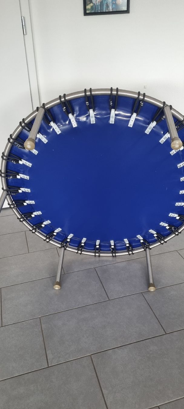 Trampolini: Gesundheits Mini Trampolin "Swem" gebraucht – Usato da Konolfingen venduto da fiirabe66 3