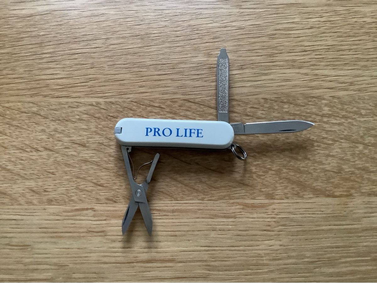 Victorinox Coltelli tascabile: Victorinox Taschenmesser – Usato da Volketswil venduto da Antonio282 1