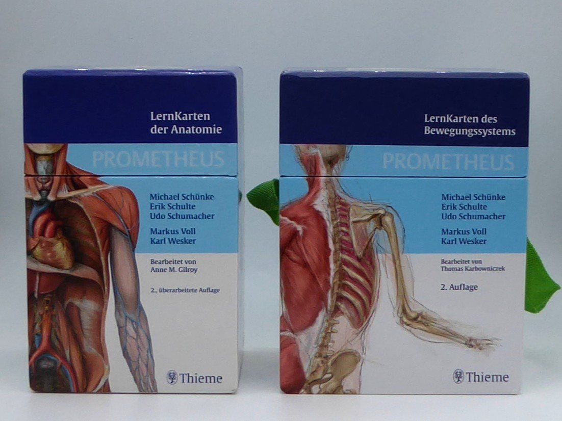 Altro materiale scolastico: PROMETHEUS LernKarten der Anatomie / des Bewegungsystems – Nuovo (secondo la descrizione) da Volketswil venduto da brockipfannenstil