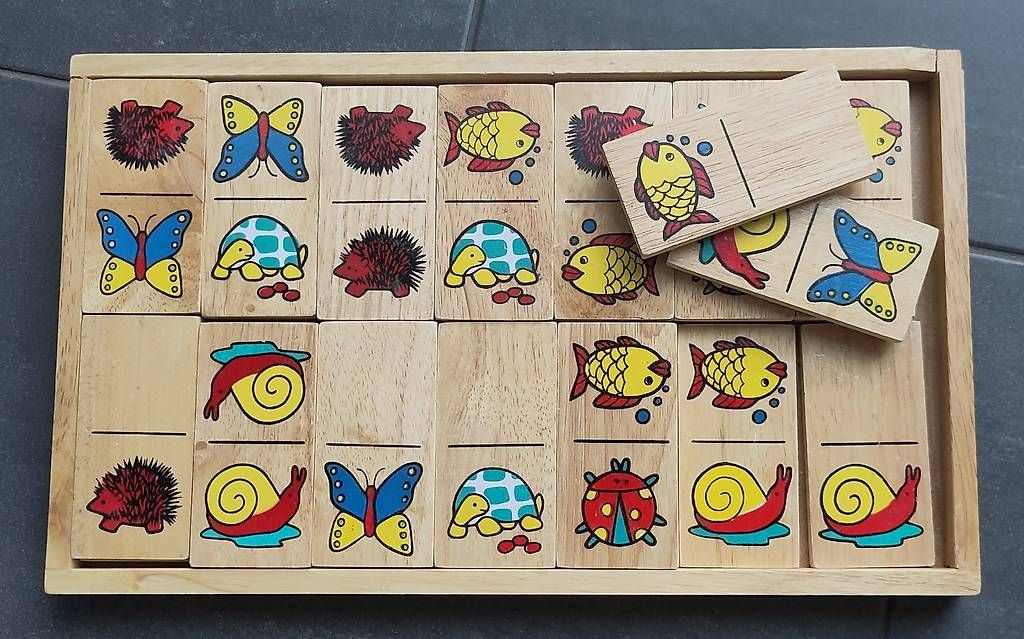 Giochi: Domino aus Holz – Usato da Gerzensee venduto da Martin_99 1