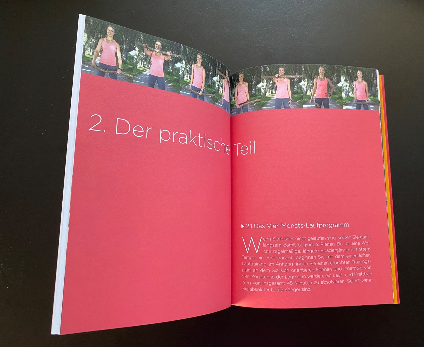Libri: Outdoor Workout Personal Training mit DVD – Usato da Nussbaumen AG venduto da schuba2000 4