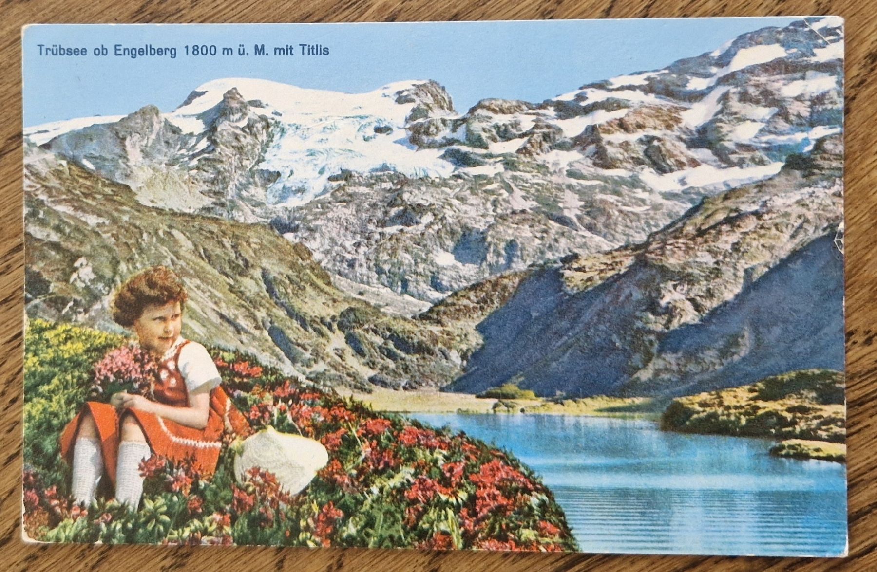 Cartoline postali: Trübsee ob Engelberg, Alpenrosen  – Usato da Ebikon venduto da Donar50