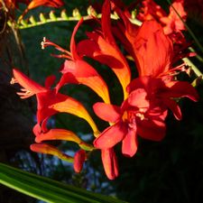 Profile image of rodolfo09