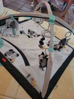 Babygym Spieldecke Tiny Love mit Zubehör sehr guter Zustand