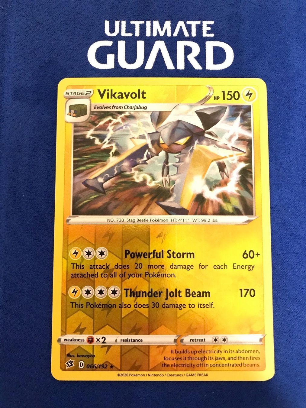 Pokémon Carte collezionabili: Pokemon TCG - Vikavolt EN reverse Holo – Nuovo (secondo la descrizione) da Lyss venduto da DeaDiLuna