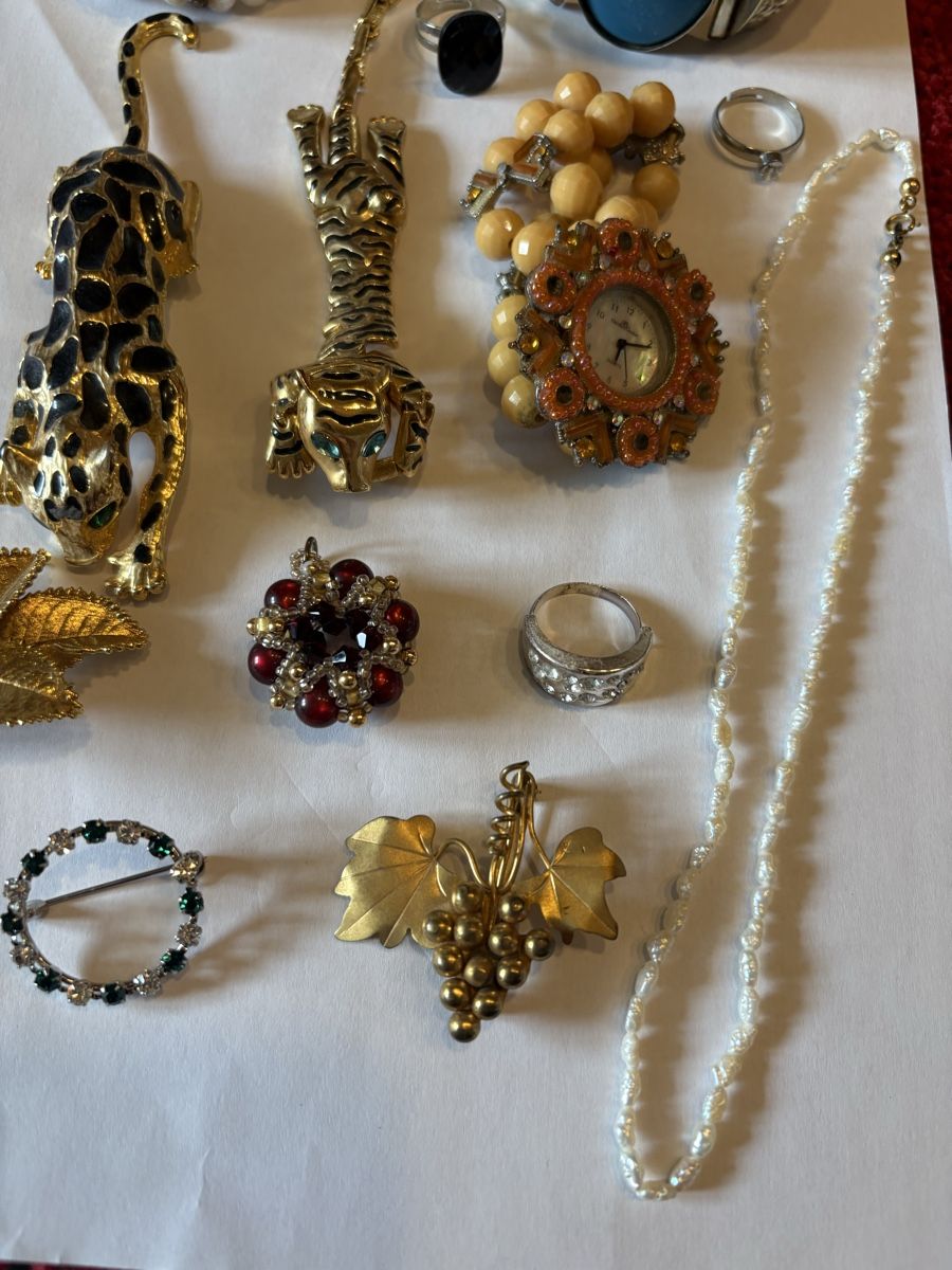 Altri gioielli: Mode Schmuck Mix – Usato da Murten venduto da Tzaugg 2