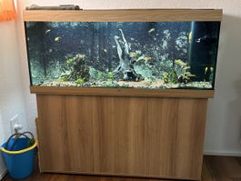 Aquarium