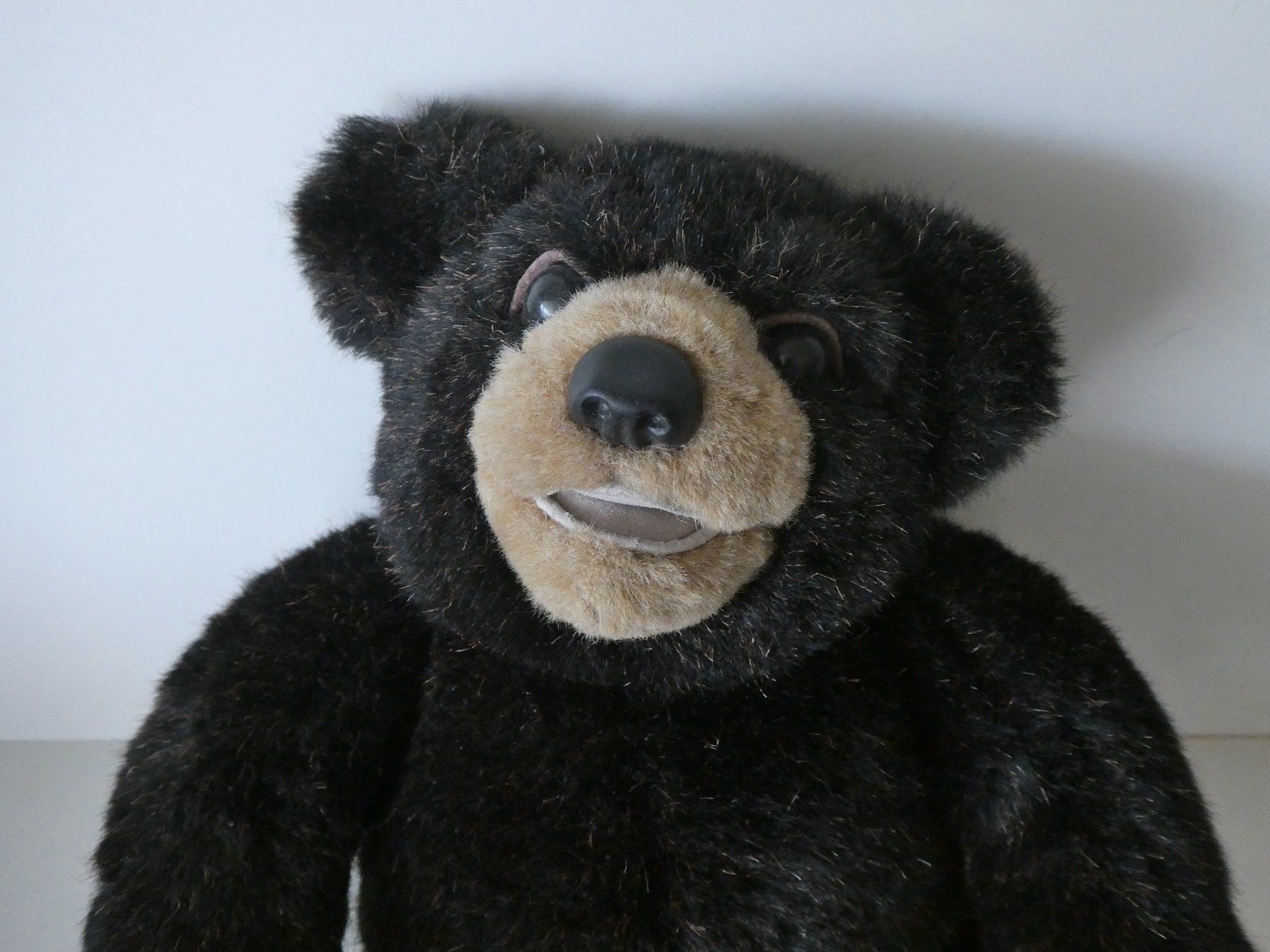 Giocattoli: Teddy Bär Molly by Beaver Valley – Nuovo (secondo la descrizione) da Basel venduto da Robyn 1