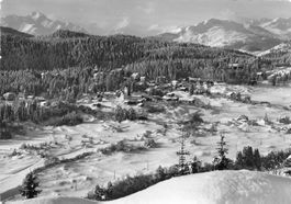 Flims-Waldhaus (GR)Winterpanorama Oberländerbergen Dorfes G
