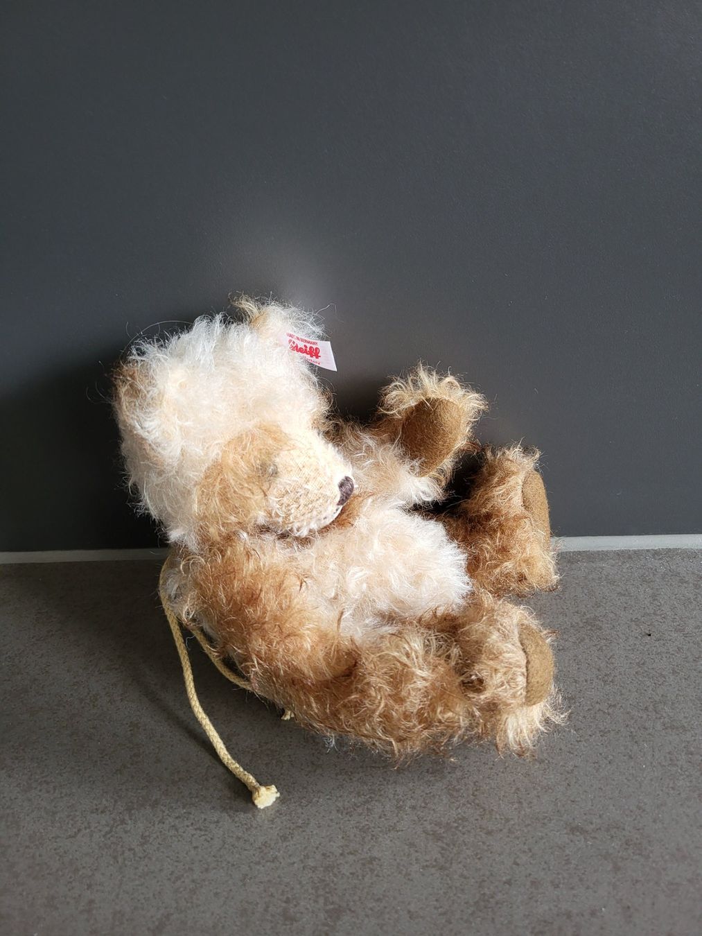 Steiff Giocattoli: Steiff Teddy – Nuovo (secondo la descrizione) da Zürich venduto da Orchidee 4