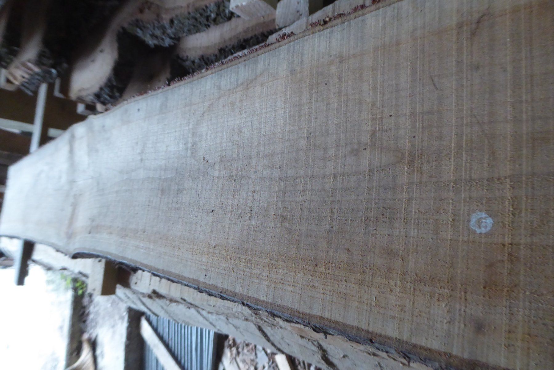 Articoli in legno: Kirschbaumbrett 30 mm – Nuovo (secondo la descrizione) da Sumiswald venduto da Hennri1 3