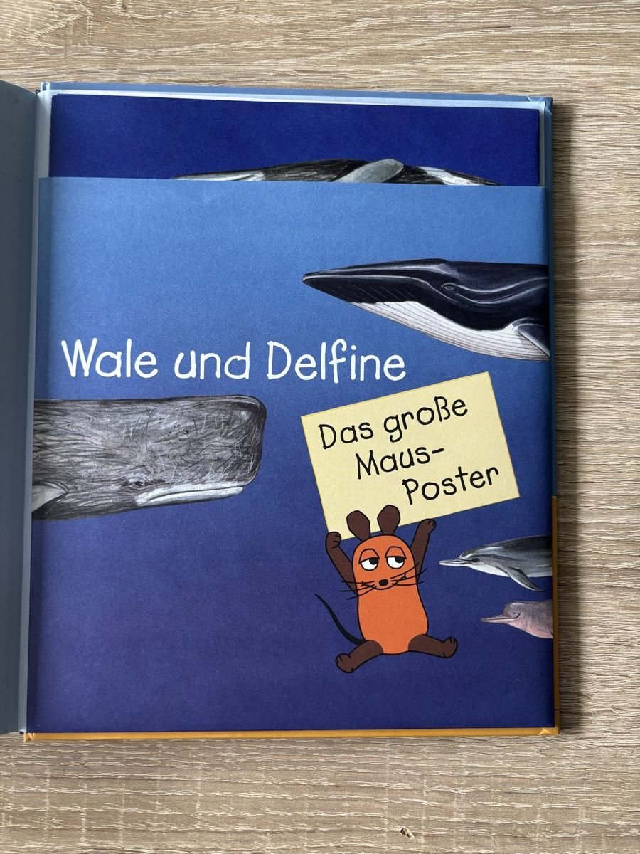 Livres: Sachbuch: Wale und Delfine – D'occasion à Niederwangen b. Bern par muidop 3