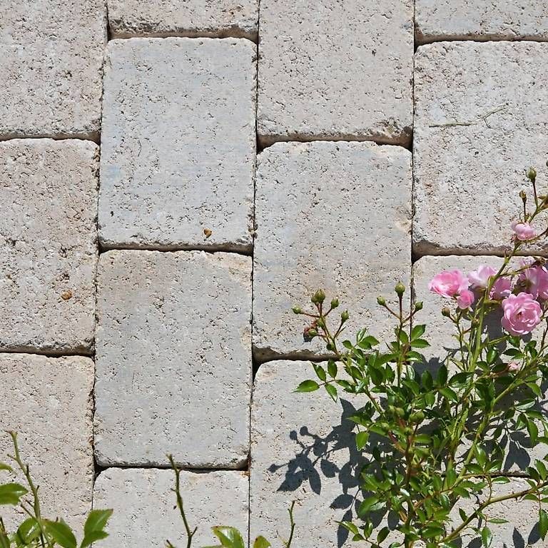Pietre & tegole: Tegula Pflastersteine – Nuovo (secondo la descrizione) da Dietschwil venduto da Rahelsutter
