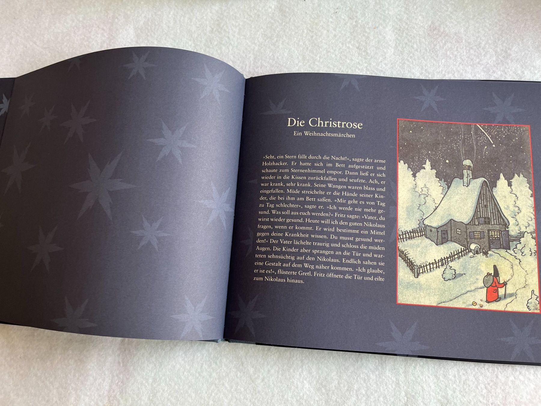 Libri: Die Christrose Ein Weihnachtsmärchen von Sepp Bauer – Nuovo (secondo la descrizione) da Altendorf venduto da herkules74 2