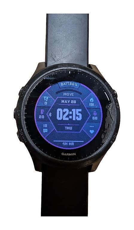 Smartwatch: Garmin Forerunner 945 GPS-Multisport-Uhr – Usato da Zug venduto da randensalatistgesund 2