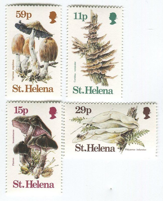 Tous les timbres: Briefmarken "Pilze". St. Helena – Neuf avec emballage d'origine à Basel par Butsch5