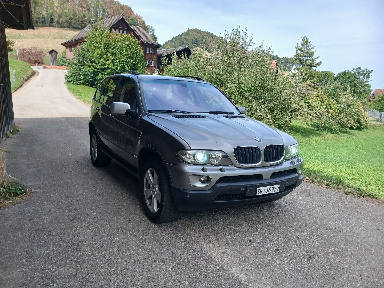 BMW Automobili: BMW X5 3d ab Mfk – Usato da Krinau venduto da P.grob 1
