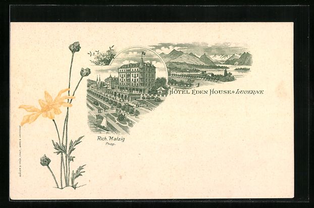 Cartes postales: Lithographie Lucerne, Hotel Eden House – D'occasion à Berlin par bartko-reher