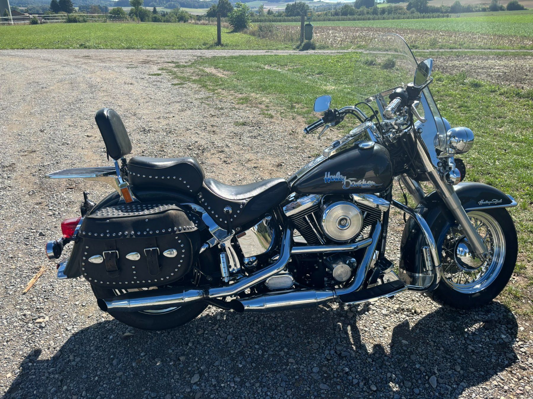 Harley-Davidson Chopper: Harley Davidson – Gebraucht aus Berg am Irchel von cent007 3