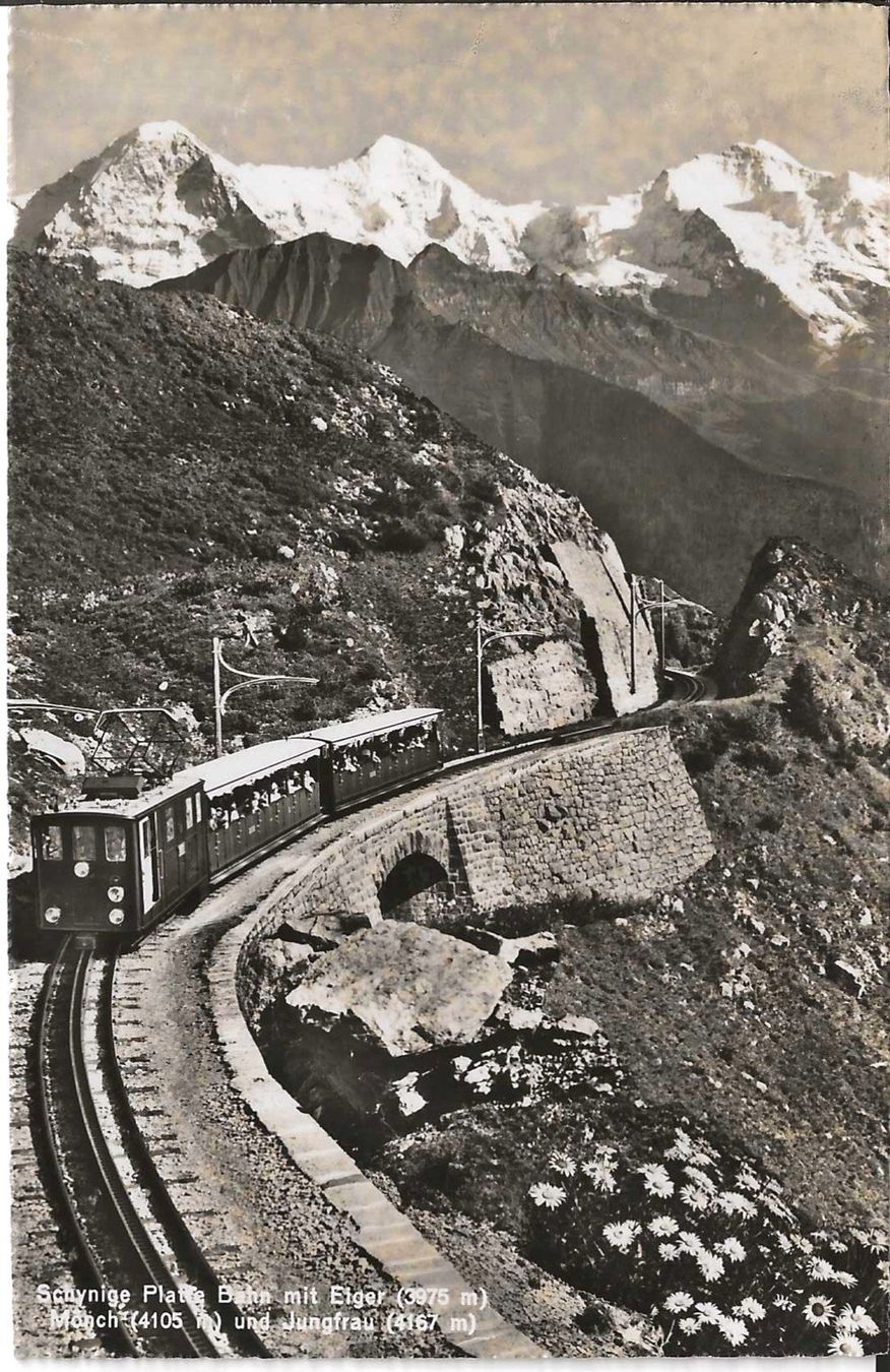 Cartoline postali: Karte Schynige-Platte 1955 – Usato da Zürich venduto da Philacat11