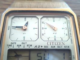 Citizen GN 4-s Seltene Sammler Uhr