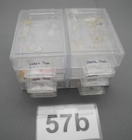 Verschiedene Brillen Pads, Nr. 57b