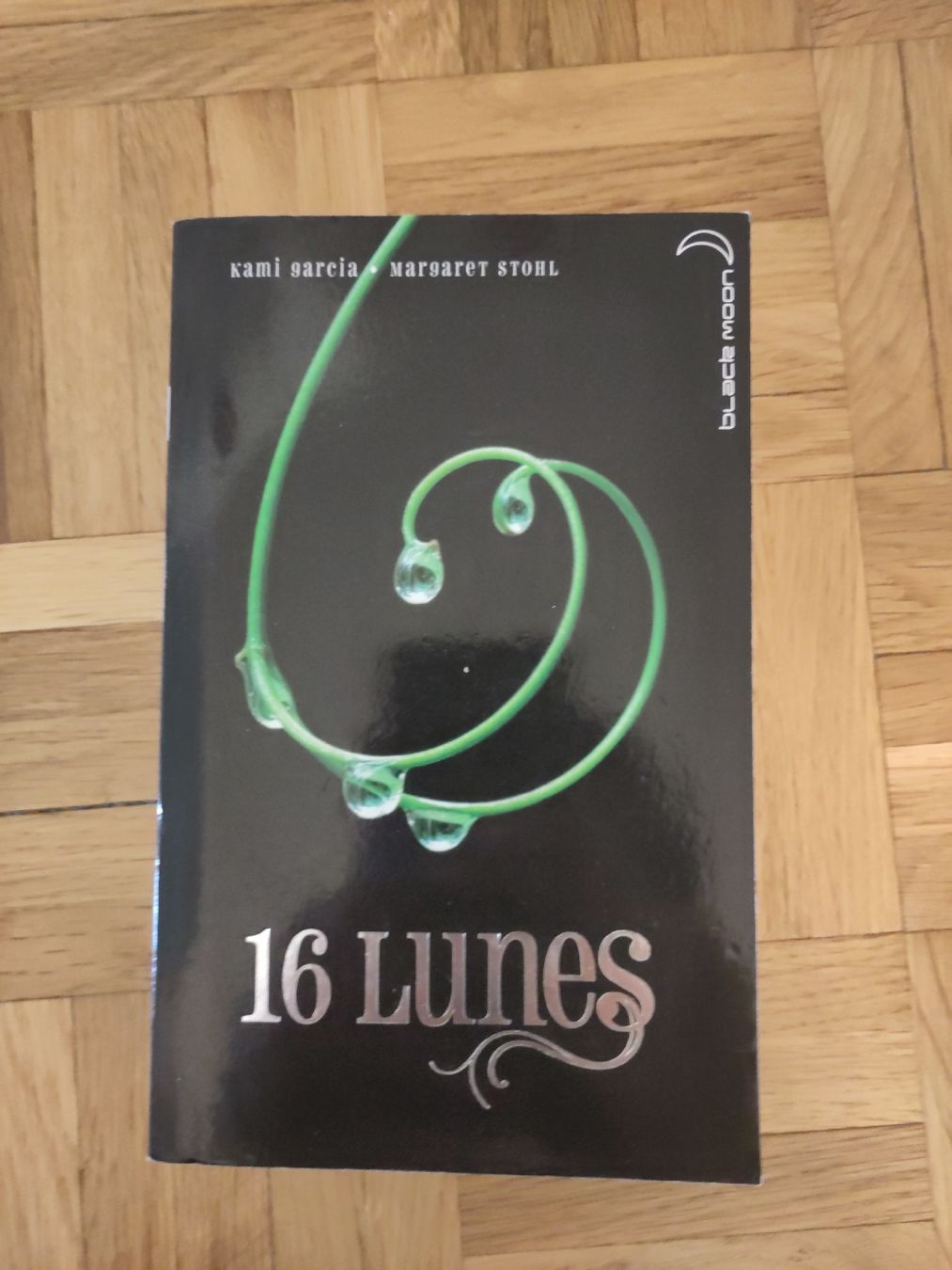 Libri: Kami Garcia 16 Lunes  – Usato da Ependes FR venduto da abi_2lwk